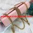 YSL Tassel Chain Bag 22cm Smooth Leather Light Pink Gold