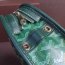 Goyard Cosmetic Bag Green Toiletry Case