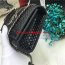 YSL Small Tassel Chain Bag 17cm Snake Black Silver