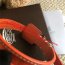 Original Quality Goyard Dog Collar Orange
